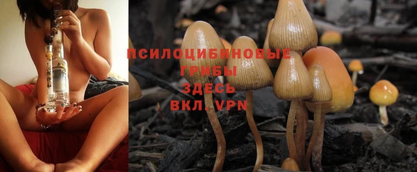 PSILOCYBIN Бугульма